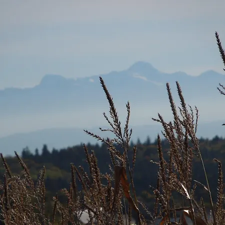 Otel Schellenberg Uberlingen