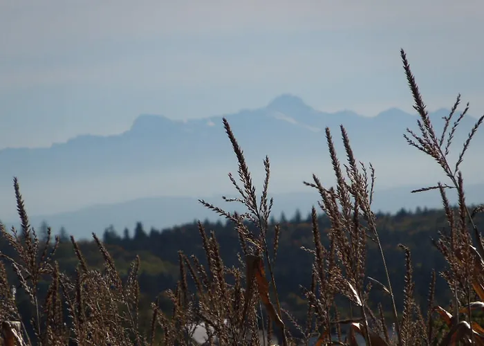 Otel Schellenberg Uberlingen